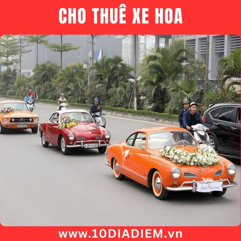 Đoàn xe cưới Đoàn xe cưới