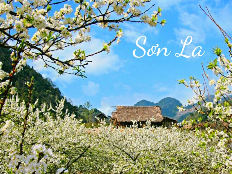 SƠN LA SƠN LA