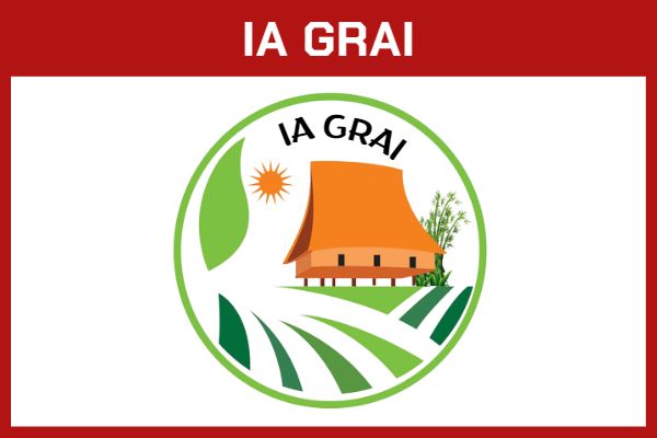 IA GRAI IA GRAI