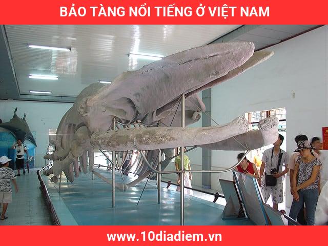 Bảo Tàng Nổi Tiếng Ở Việt Nam Bảo Tàng Nổi Tiếng Ở Việt Nam