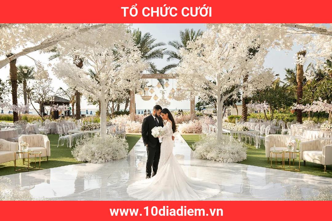 Tổ Chức Cưới Tổ Chức Cưới