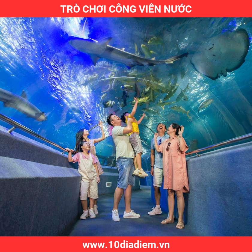 Trò Chơi Công Viên Nước Trò Chơi Công Viên Nước